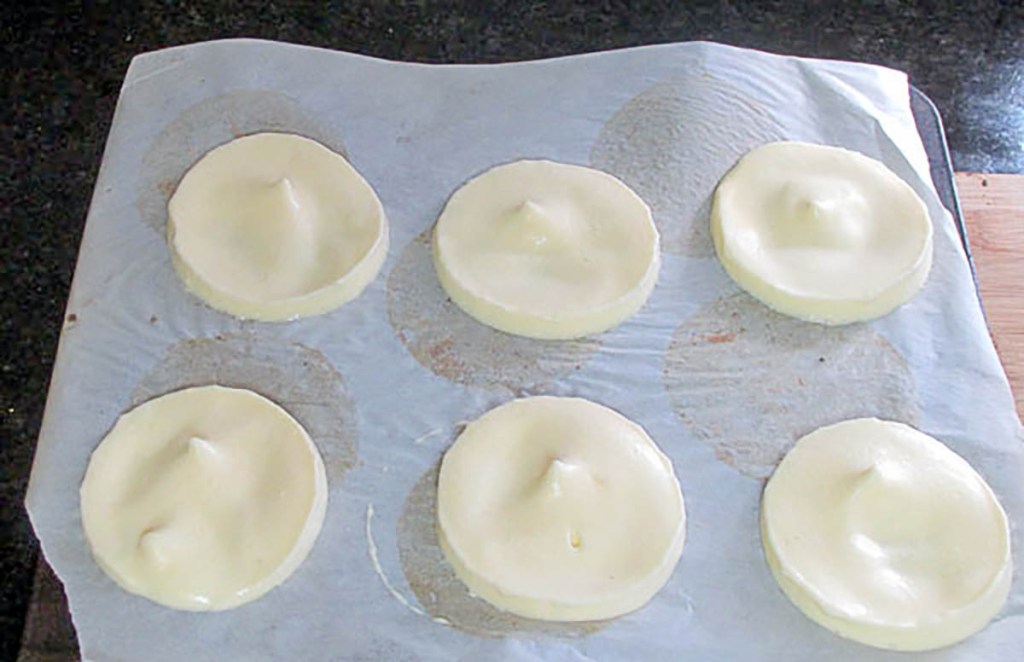 Spoon the mixture into 12 even disks.