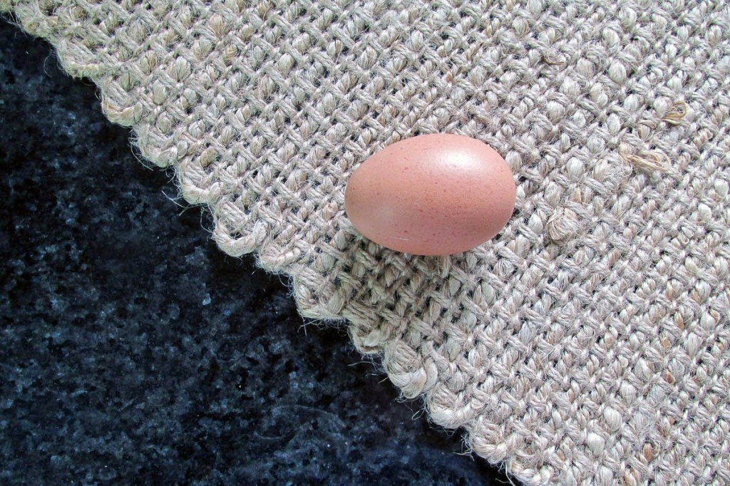 Egg